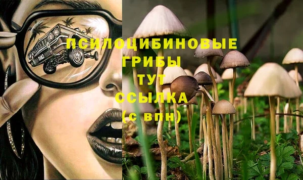 кокс Аркадак