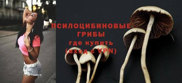 прущий лед Армянск