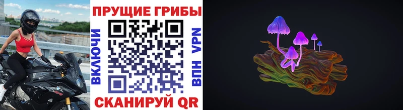 KRAKEN ССЫЛКА  Мезень  Псилоцибиновые грибы Psilocybe 